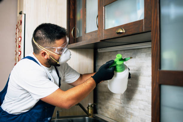 Best Pest Control Cost  in Westfield, NJ