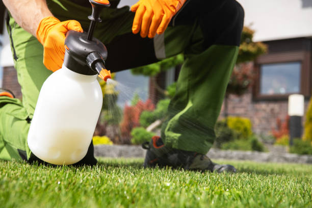 Best Exterminator Services  in Westfield, NJ