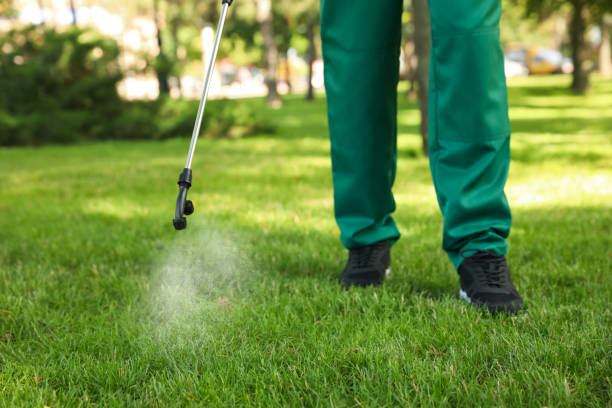 Best Termite Control Services  in Westfield, NJ