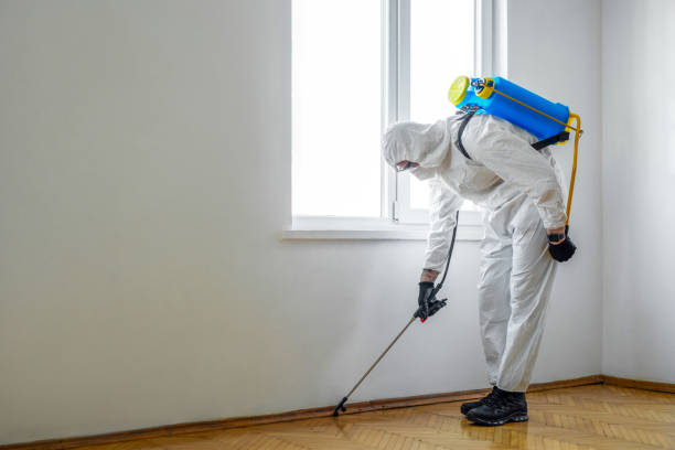 Best Flea Control Services  in Westfield, NJ