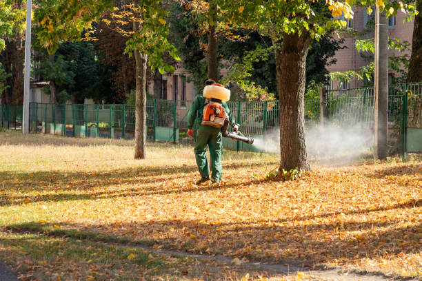 Reliable Westfield, NJ Pest Control Solutions