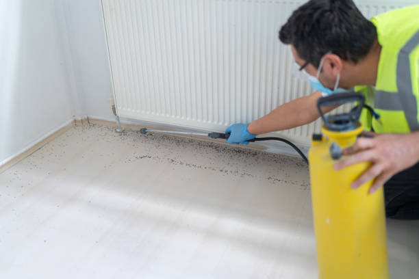 Wasp Removal Services in Westfield, NJ